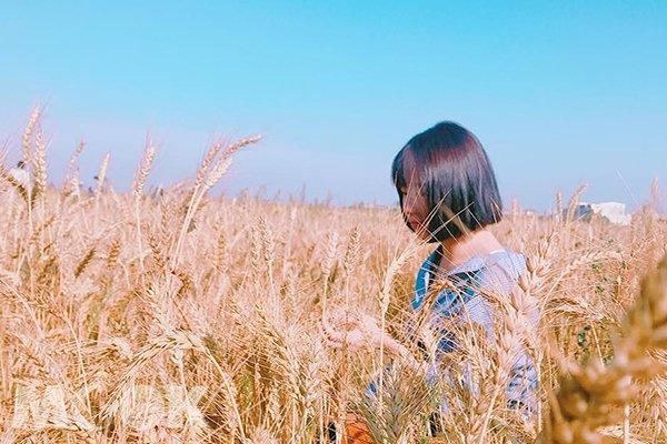 情侣打卡放闪必收 全台五大浪漫景点