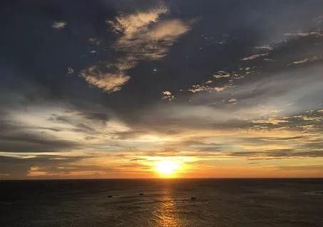 身份证号和姓名