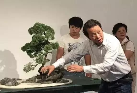 苍枝傲骨匠人心盛影蛟老师谈盆景艺术