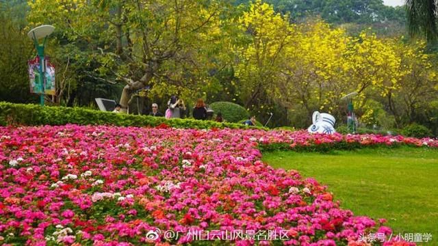 广州周边最适合踏春赏花地盘点，带上父母小孩周末走起！