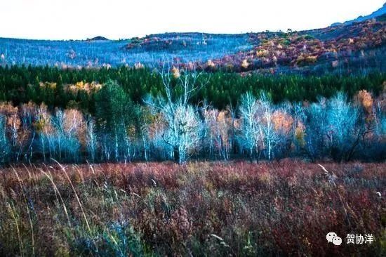 金秋赤峰赛罕乌拉美如仙境，简直是内蒙草原牧民的七彩天堂