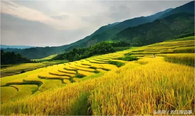 内江生活｜内江周边藏着的几个山水梯田，风景美如画！一天来回！