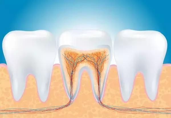 为啥不知道哪颗牙疼,好难受