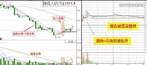 香港女股神错过士兰微, 中国芯片+中概股借壳