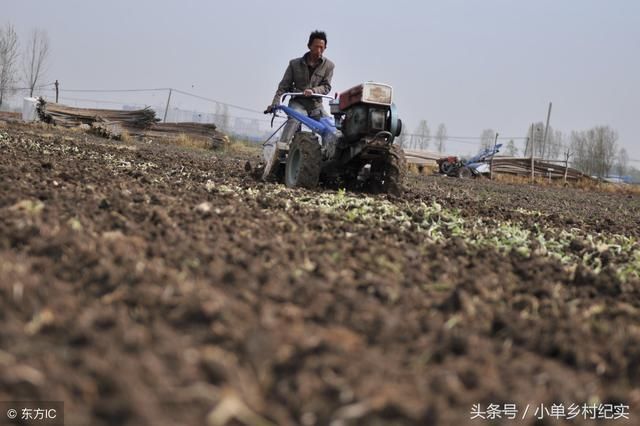 农村女孩出嫁后，户口一直没迁走，有土地分配权吗？