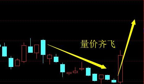 就在刚刚最新利好消息发布：东方财富 中天金融 阿科力 龙蟒佰利