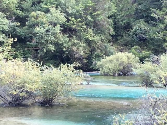 醉美九寨，不灭的神话(二)纪念逝去的火花海，诺日朗瀑布