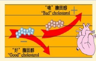 世卫组织要在全球停用人造反式脂肪，这是怎么回事?