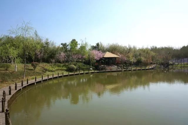 金陵十一大最美湖景豪宅曝光!这才是南京人该住的房子!