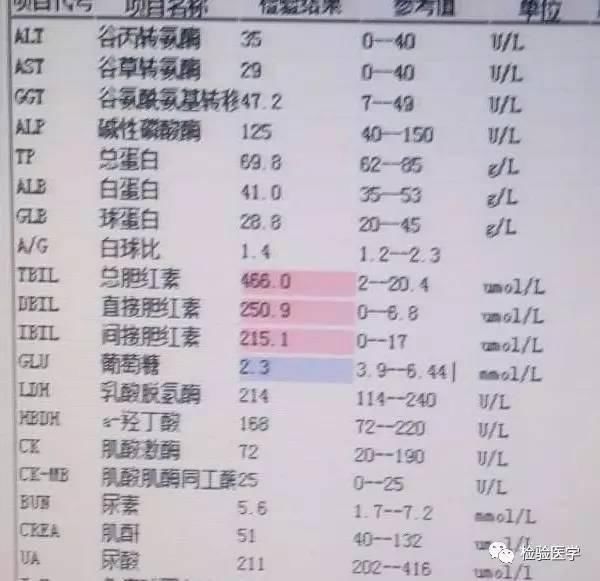 总胆红素偏高的原因,胆红素高是怎么回事_低血糖?原来