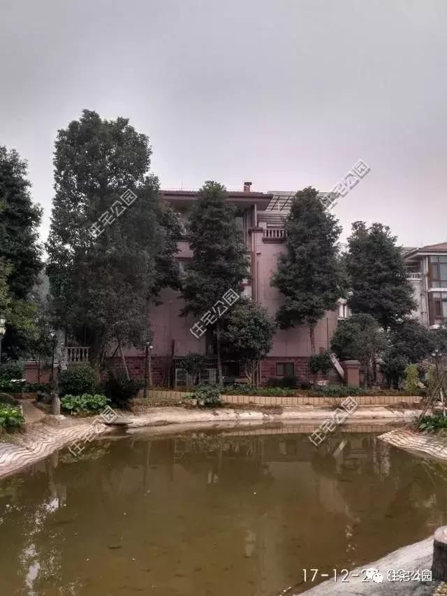 兄弟齐心农村建双拼别墅,这么房子和环境,城里人真要羡慕坏了!