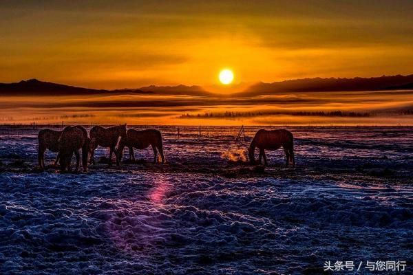 大美新疆 锦绣昭苏