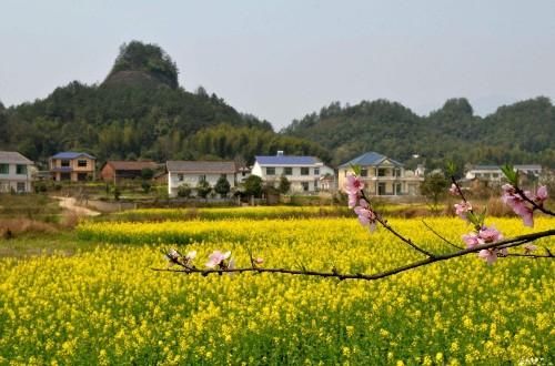 农村有宅基地，农民在城市买了房还能继承它吗？