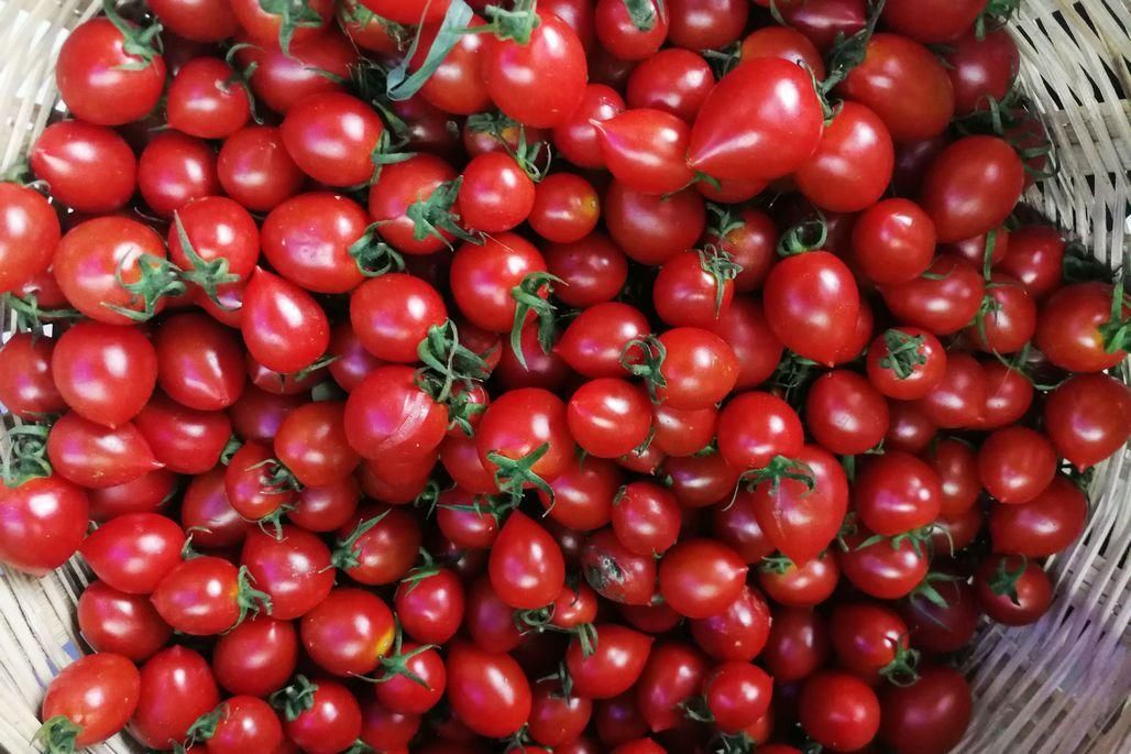 离核桃10元3斤 鲜枣一盒3斤100元 水果店水果