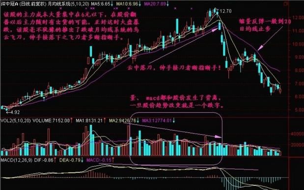 中国股市最牛散户：教你最“笨”方法，讲透成交量精髓，稳准不赔