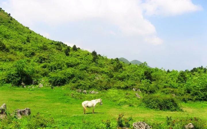 中国湖北居然隐藏了一个旷世仙境 让外国人都为它折服