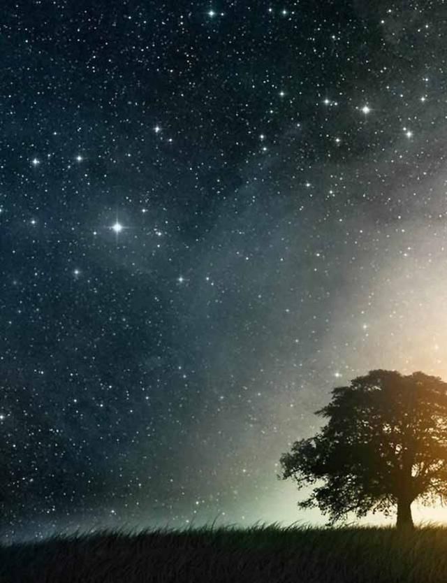 忘不掉一个人，最是煎熬