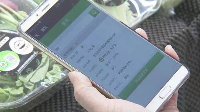 央视焦点访谈曝光有机蔬菜玄机北京开展专项