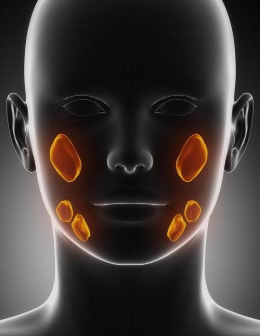 了解唾液腺。有安全的治疗。