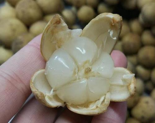 中医称它是天然胰岛素,坚持常吃,和尿毒症