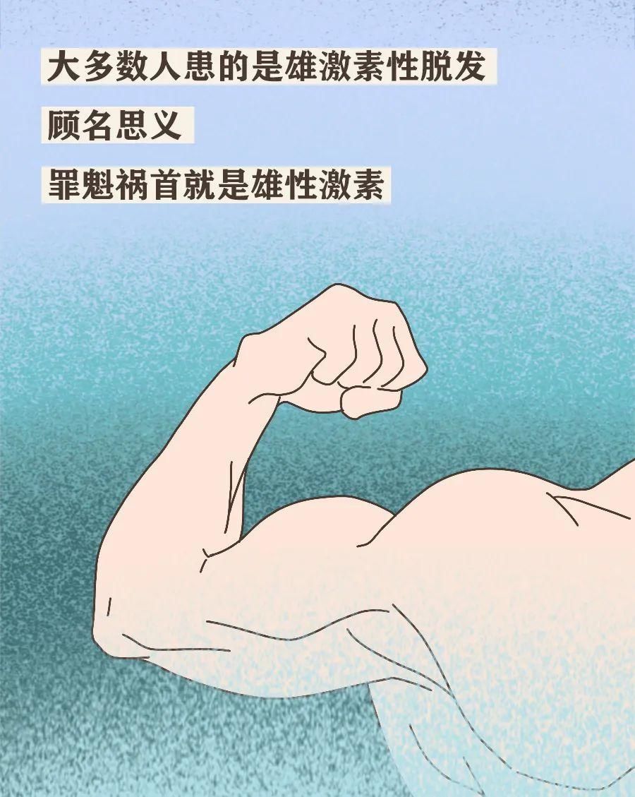 真男人，都容易秃