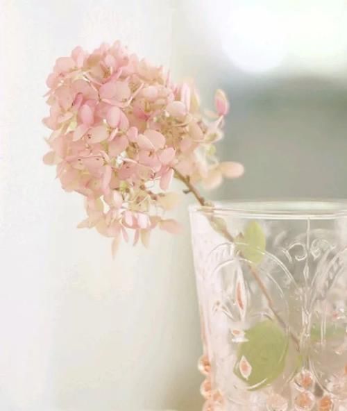 朋友圈早安经典语录 早安唯美心语配图片