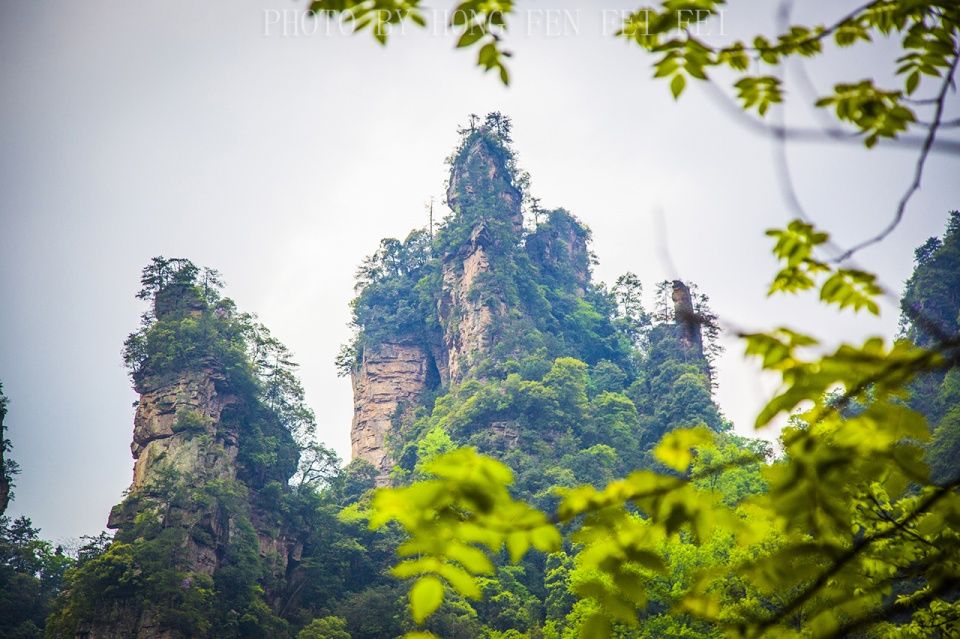 人间仙境四月天，张家界武陵源旅游攻略