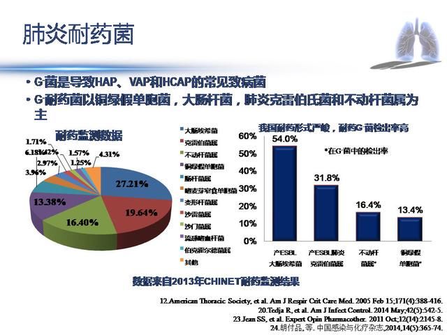 重症流感到重症肺炎的治疗