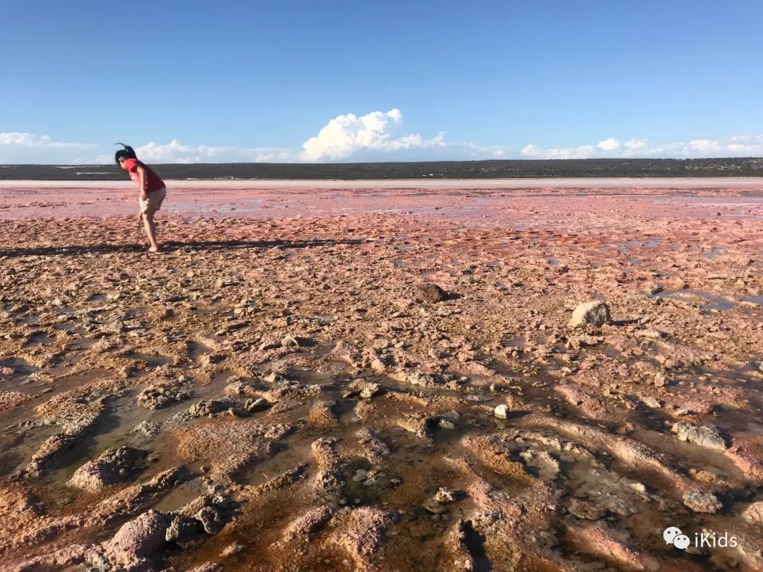 大美西澳自驾游，nothing like Australia，没有更贴切的形容