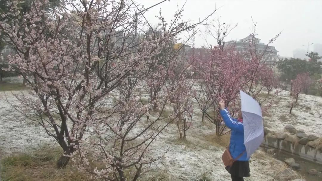 这些地方下雪了~~春如四季的时候又到了……啥时候可以穿T恤?戳里