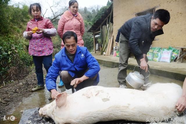 农村俗语：“冬至下场雪，夏至水满江”，农民朋友认为准吗？