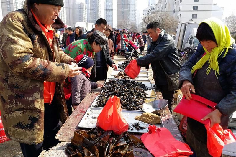 开凌梭统领青岛新春海鲜市场 海带也成主打海鲜 真正物美价廉