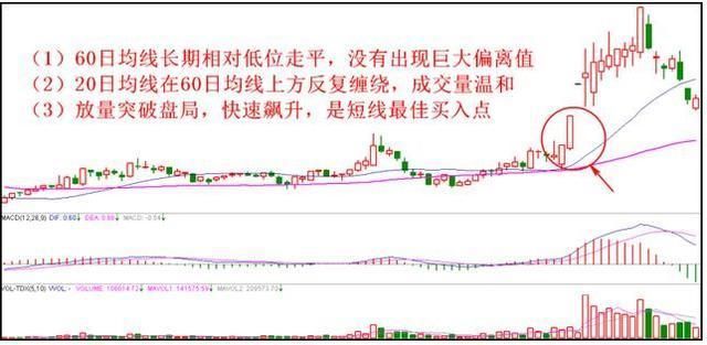 中国股市的本质：散户唯有选股才能存活下去!