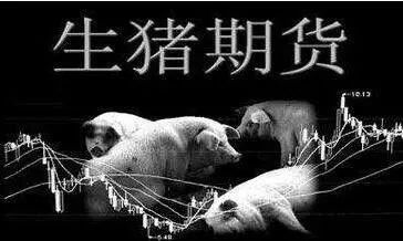 好消息!生猪期货将上市!