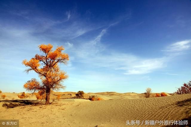 我想带你去新疆旅行！