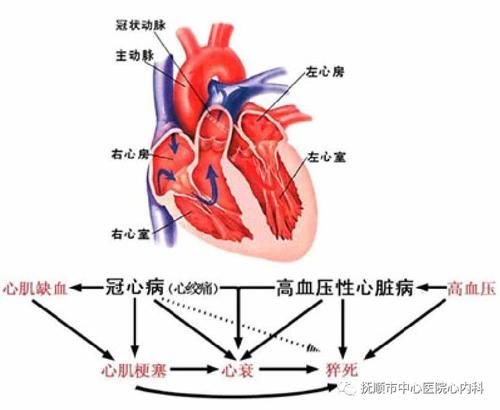 冠心肺炎的症状有哪些症状