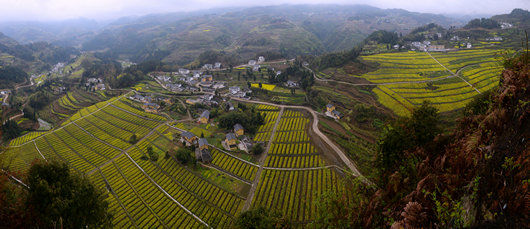 古蔺县双沙镇白马村开村 休闲观光农业又添一喜！