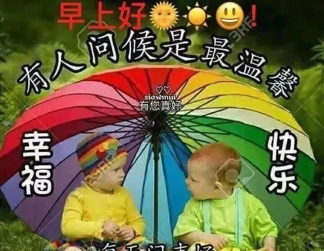 早上早上表情