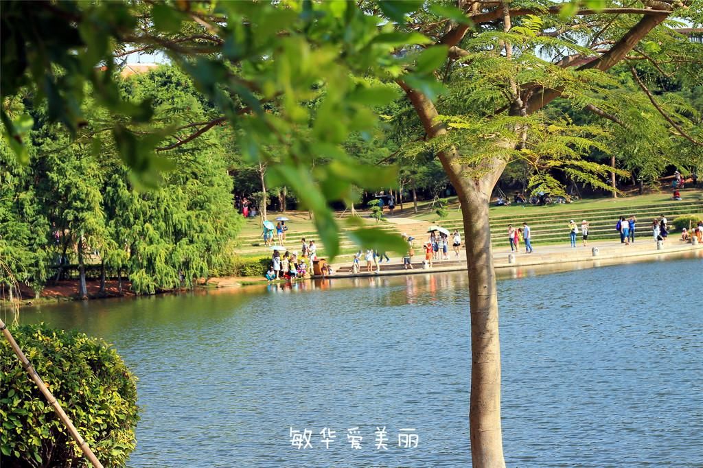 厦门市十五届人大五次会议