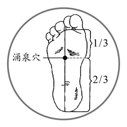 t0141018859e6c66001.jpg