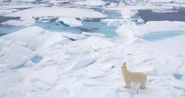 中国人不用签证就能自由出入的地方