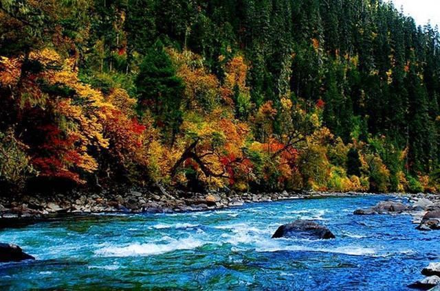 中国最美的2条高速公路,都不收费!这条花了380亿