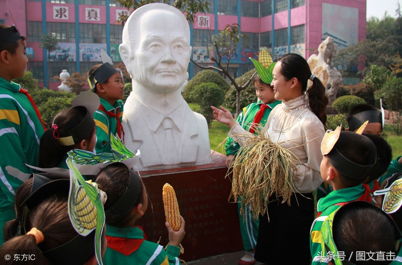 杂交水稻之父袁隆平,2018年再创佳绩:迪拜热带