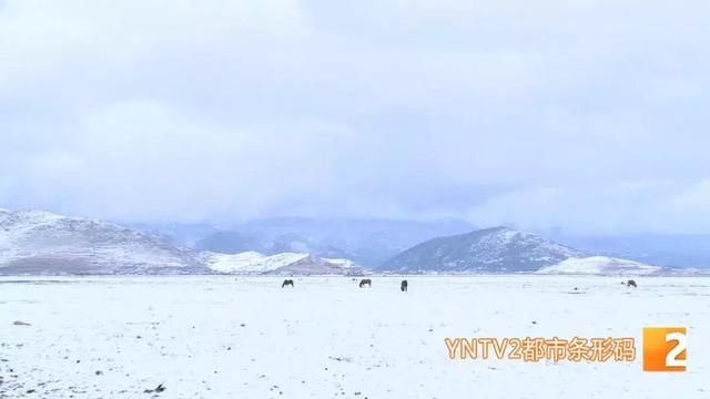 我在昆明艳阳高照 你在迪庆大雪纷飞