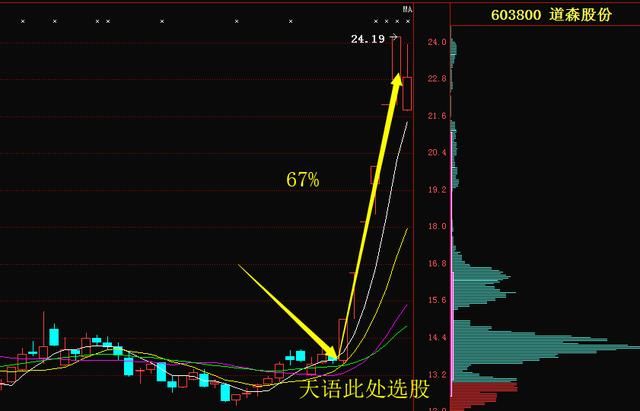 上海老股民说破股市：“三不卖七不买”是股市最好赚钱的方法