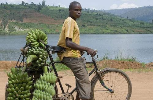 中国为什么要帮助非洲人 t01420ca972e2b03d43.jpg