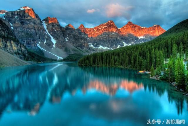 全世界都当成保护动物，只有澳大利亚泛滥成灾，中国吃货跃跃欲试