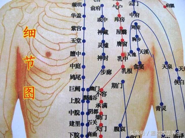 中庭穴的准确位置图及主治病症人体穴位大全--中庭穴:胸腹胀满,呕吐