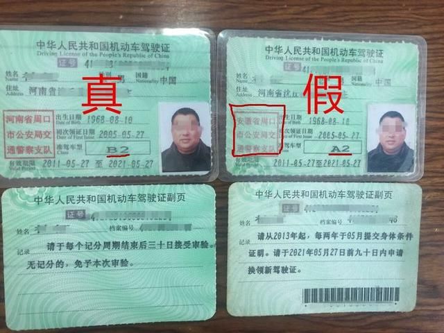 男子为多赚点钱伪造驾驶证 却被丽水高速交警