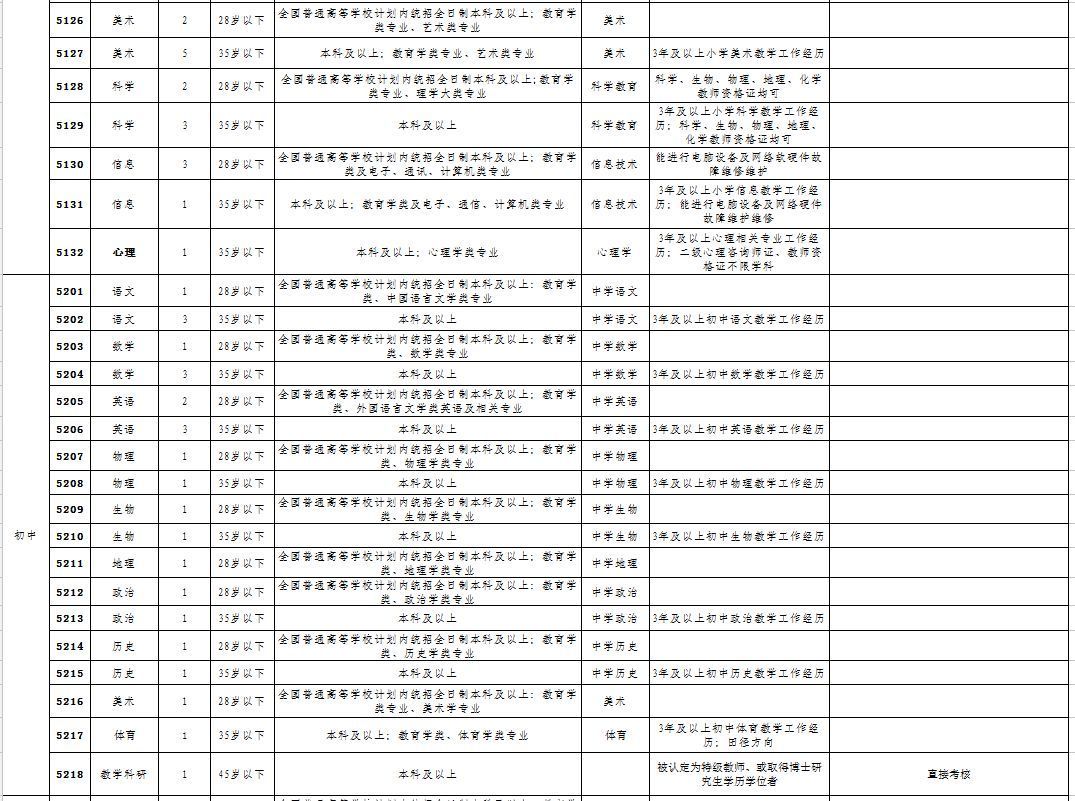 长沙高新区2019年公开招聘教师简章